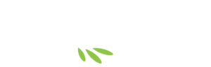 Mirabeau racines et avenir