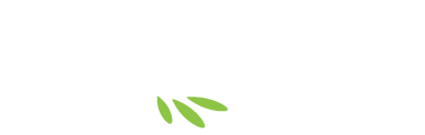 Mirabeau racines et avenir